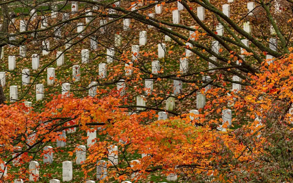 Fall leaves and headstones create a serene scene at Arlington National Cemetery