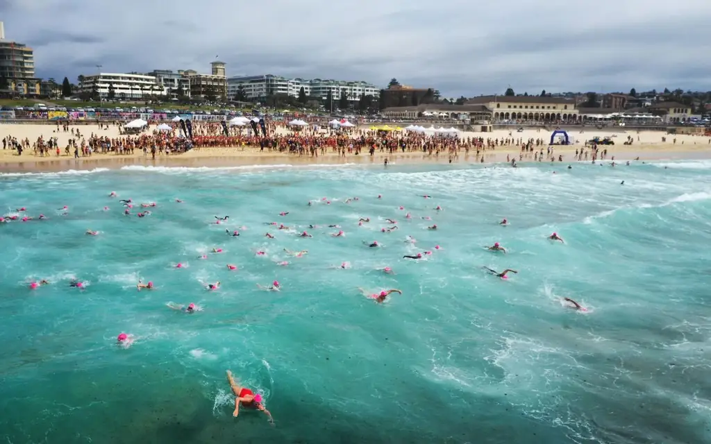 Aerial view of a swimming competition at Bondi Beach with crowds and blue ocean