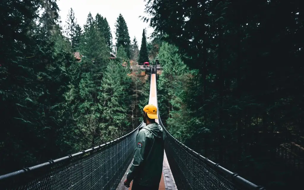 Man standing on a scenic suspension bridge in lush Vancouver forest