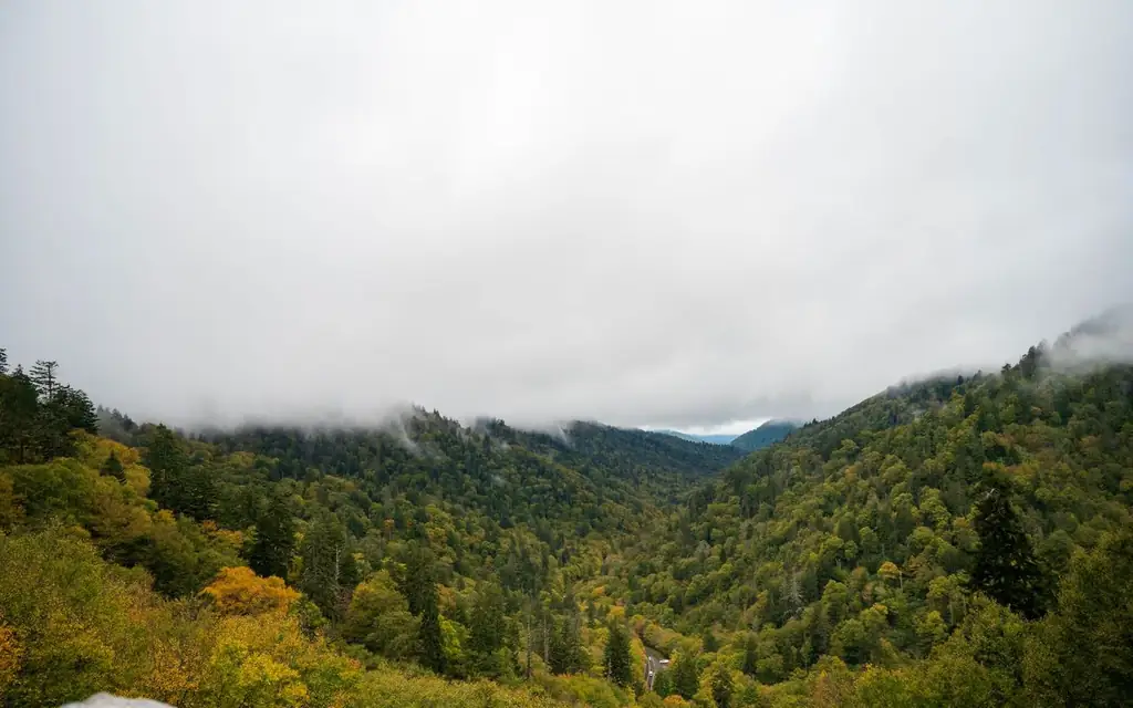 Breathtaking view of a misty mountain valley in the Great Smoky Mountains with lush green forests