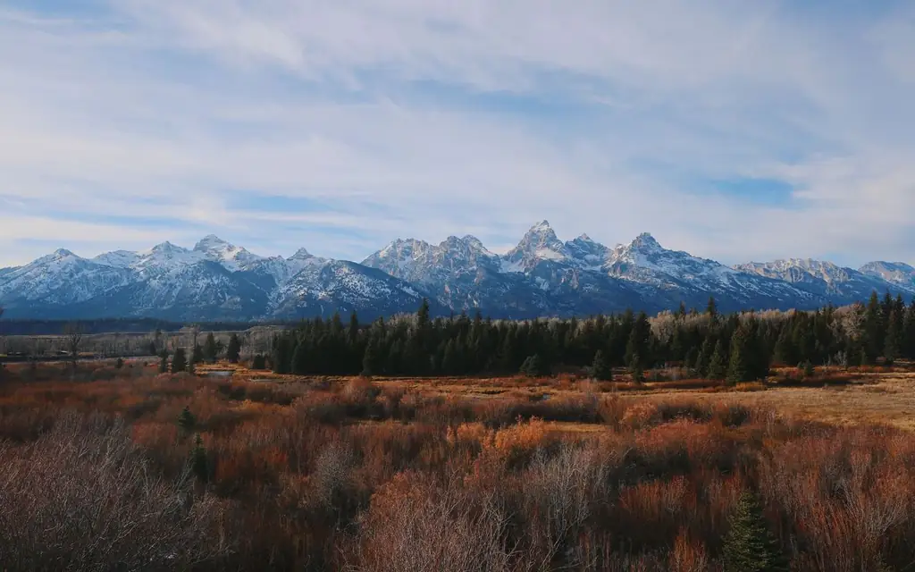 Experience the majestic Grand Teton Mountains and vast wilderness under a clear sky. Perfect for nature lovers and adventurers
