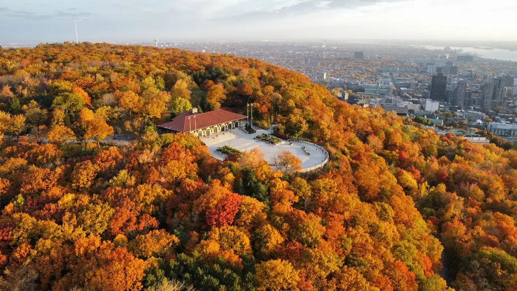A stunning aerial shot of Mont Royal with vibrant fall colors and cityscape in the distance