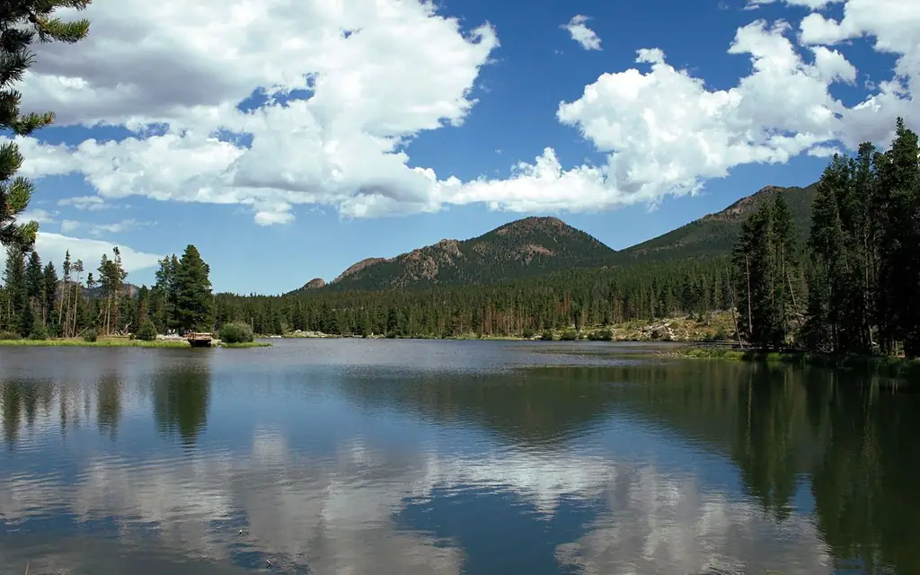 Peaceful mountain lake scene with pine trees and calm water reflection under a bright sky