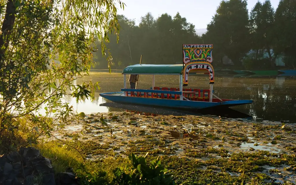 A vibrant trajinera floats on the tranquil Xochimilco canals in Mexico City, surrounded by lush greenery