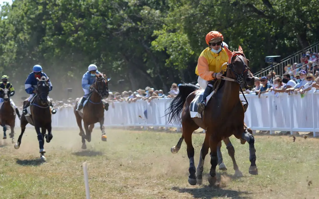 A horse race