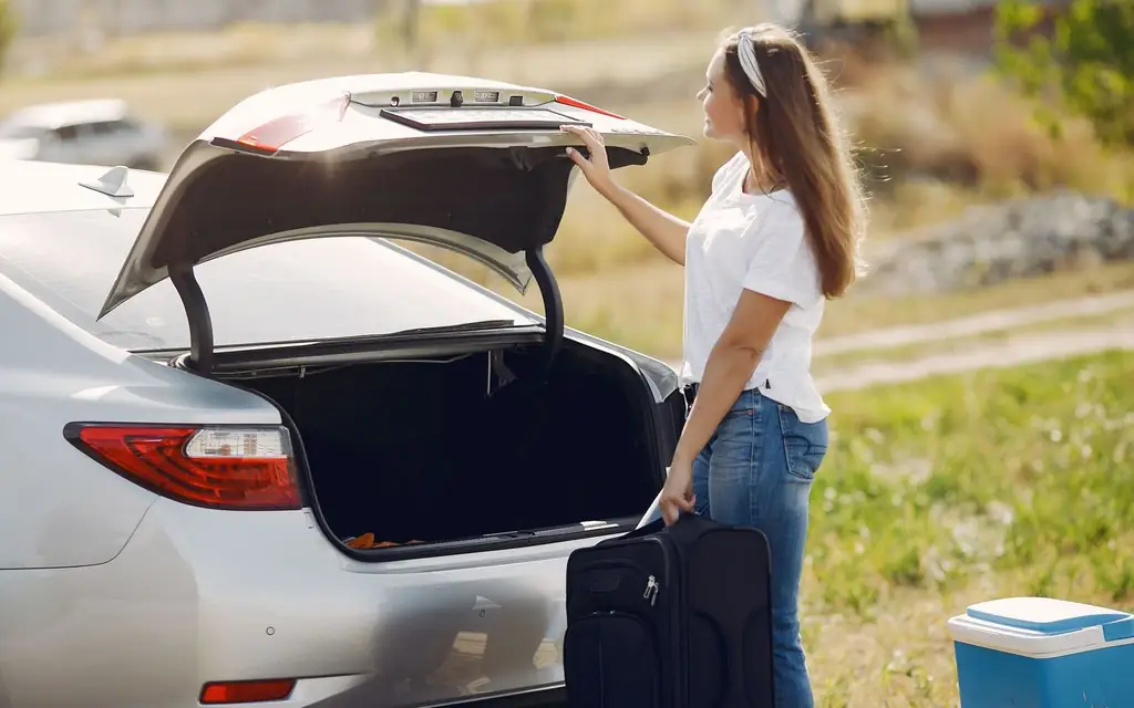 Loading luggage into the car
