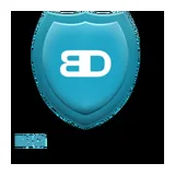 Big Driving Service GmbH logo