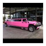 Wicked Limousines, Limo Hire Perth logo
