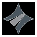 Darwin Limousines logo