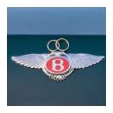 Devon County Wedding Cars logo