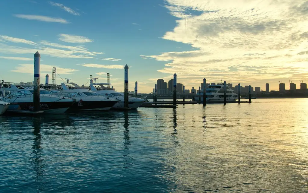 Yachts in a marina